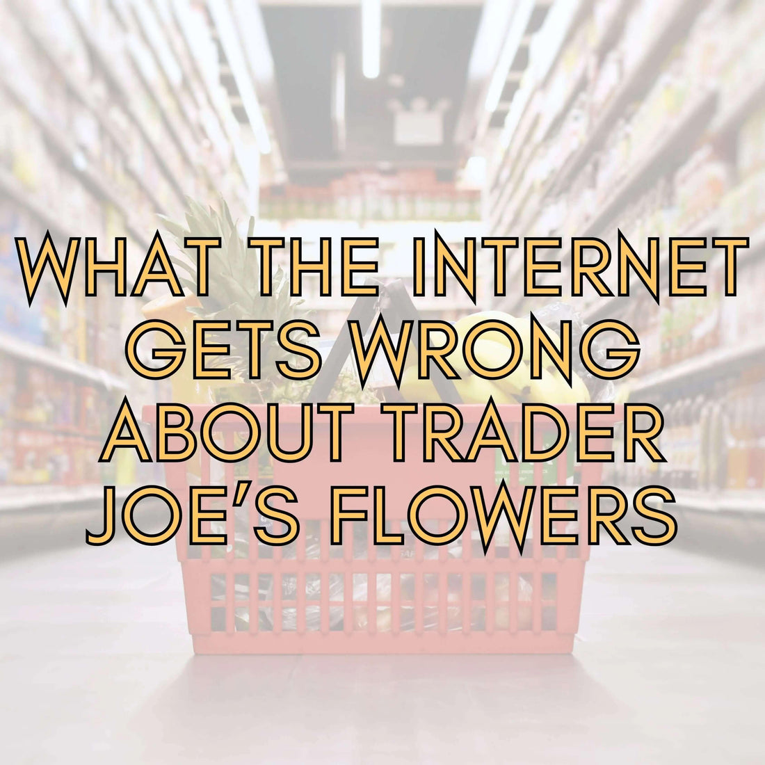 What The Internet Get's Wrong About Trader Joe's Flowers - Bud Weismiller Florist and Flower Delivery