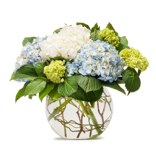 Bouquet of white, blue, and green flowers in a clear glass vase on a white background
