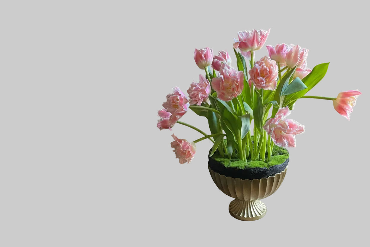 Uplifting display of pink fringed tulips in a decorative gold vase.