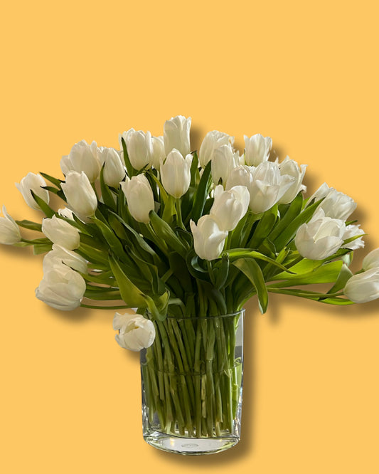 A bouquet of white tulips arranged in a clear glass vase against an orange background.