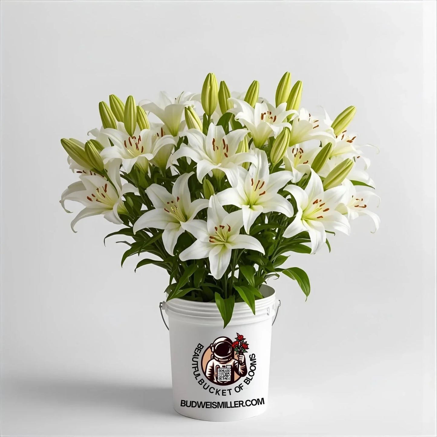 Bright white lilies bouquet blooming vibrantly in a branded white bucket against plain background