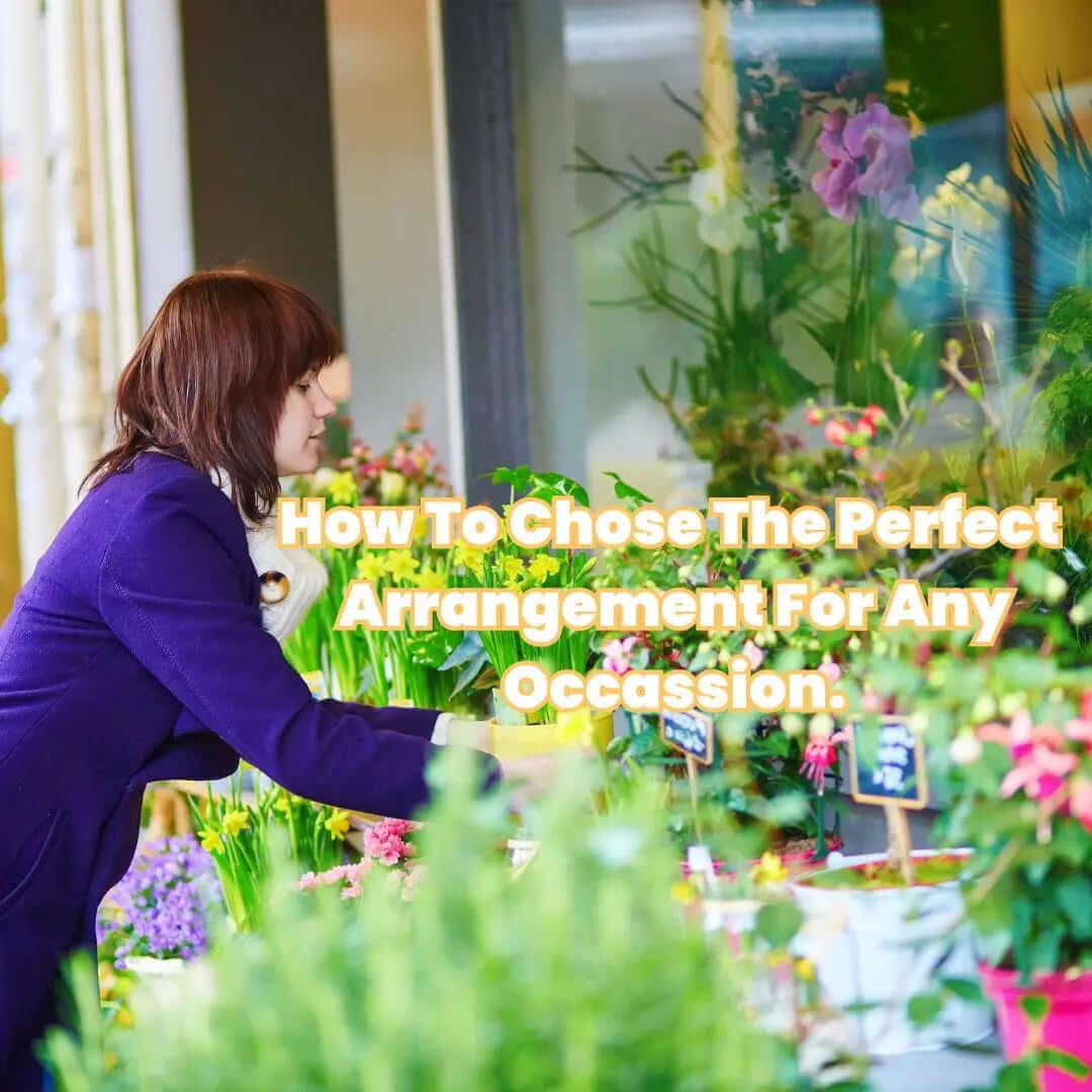 Woman in purple jacket arranging bright flowers in vibrant flower shop for any occasion