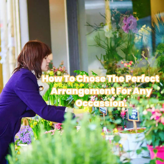 Woman in purple jacket arranging bright flowers in vibrant flower shop for any occasion
