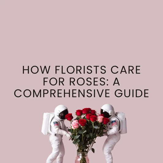 Two miniature astronauts holding a vase of red and pink roses under text on rose care guide