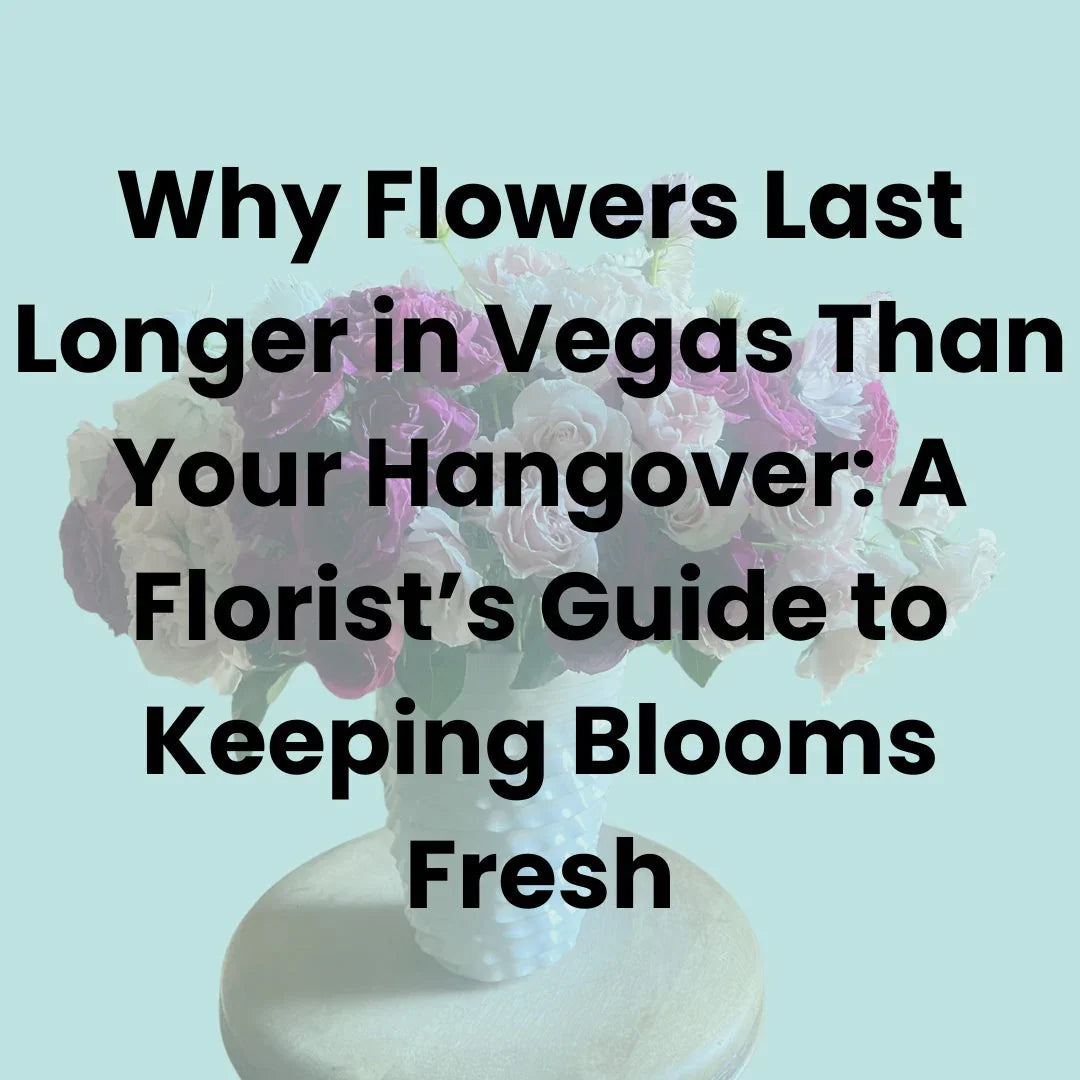 Vibrant pink and white roses in a white hobnail vase on a wooden table with blue background