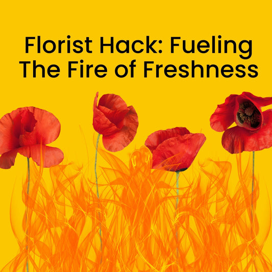 Bright red poppies rising from vibrant orange flames on yellow background with uplifting florist freshness message
