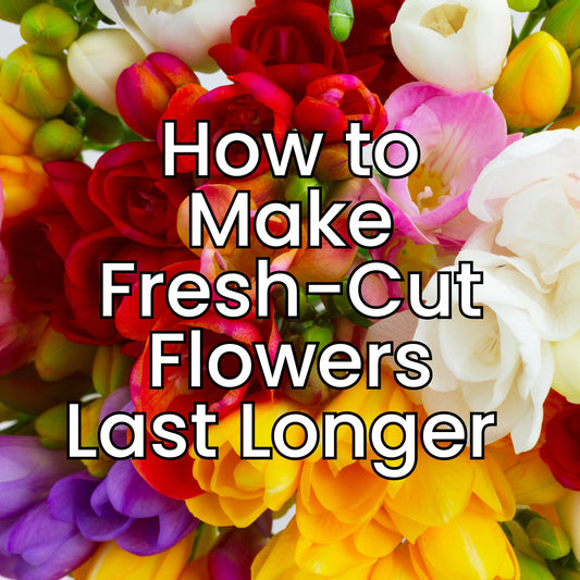 The banner for the Bud Weismiller Blog on how to make fresh-cut flowers last longer.  It is the title in white font in front of a background of colorful flowers.