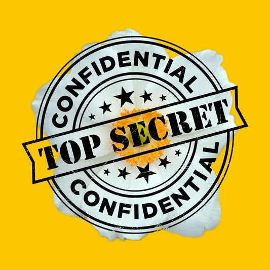 Bright yellow background with a white flower center and bold black confidential top secret stamp
