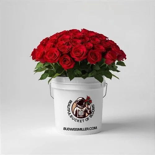 Bright red roses in a white bucket with Beautiful Bucket of Blooms logo, symbolizing fresh love