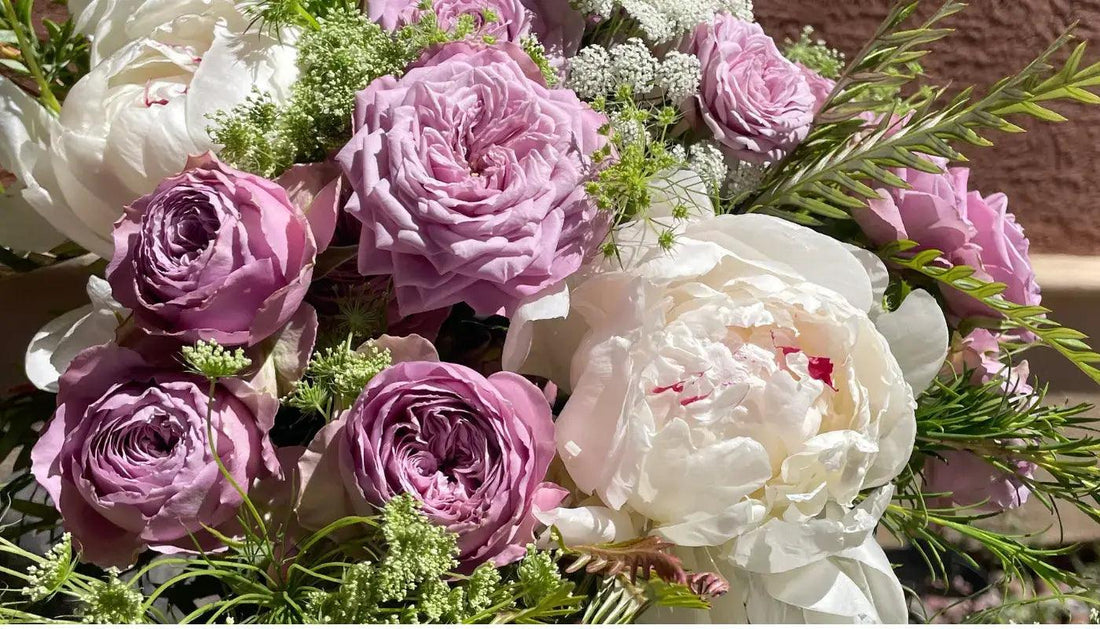 Uplifting bouquet of white peonies and purple roses with green foliage in sunlight