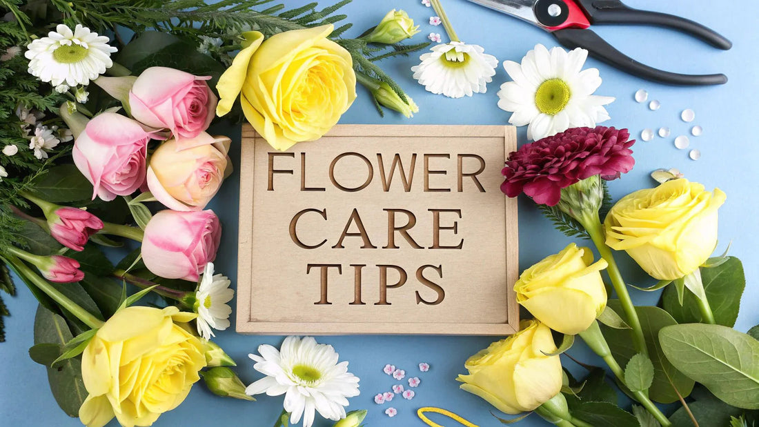 Bright yellow roses, pink buds, white daisies, and flower care tools arranged around a wooden sign on blue