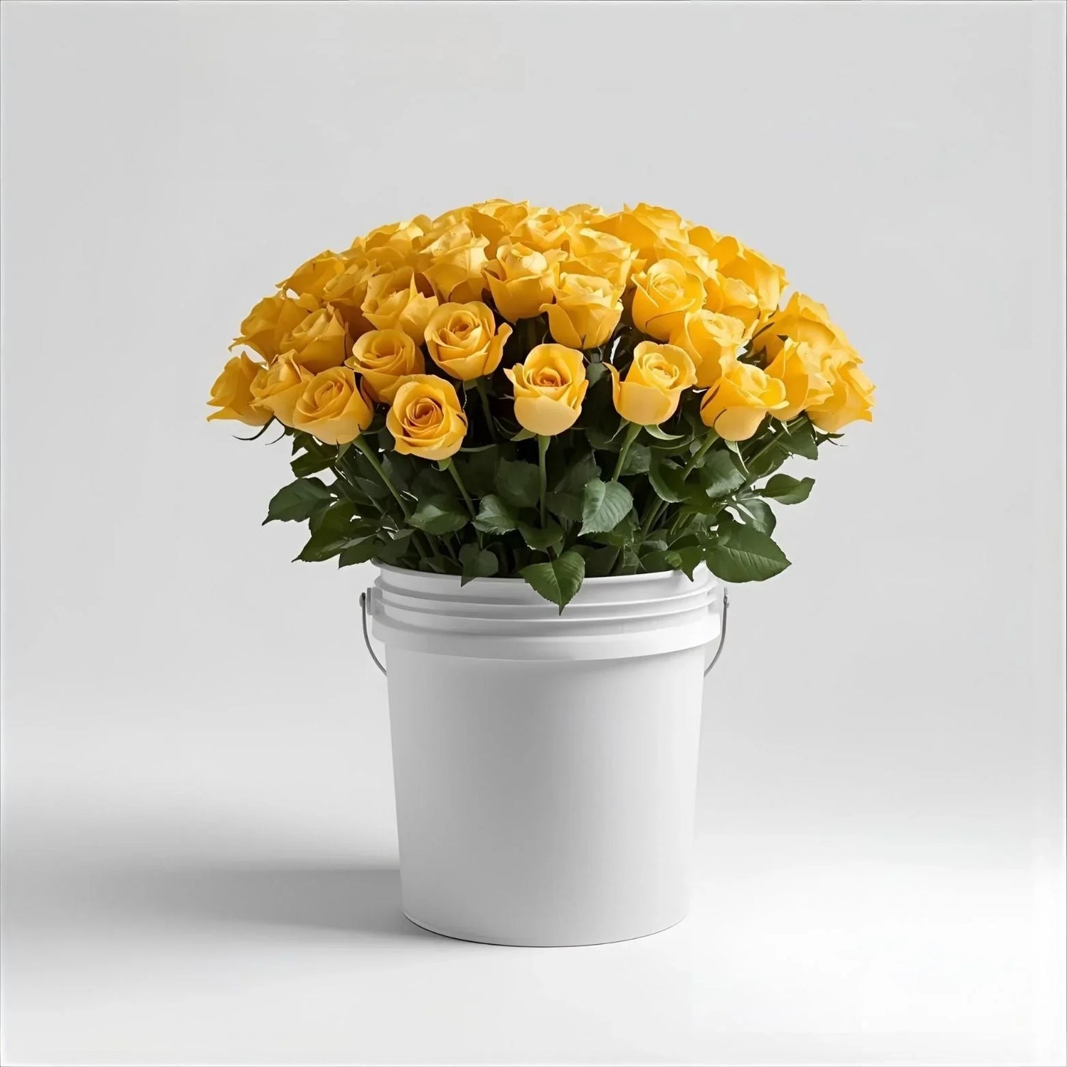 Bright yellow roses bouquet in a white bucket, fresh and uplifting floral arrangement