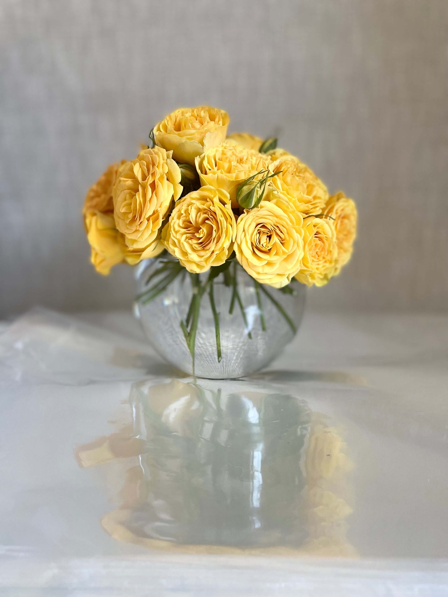 Golden Glow - Yellow Garden Spray Roses - Bud Weismiller Flowers