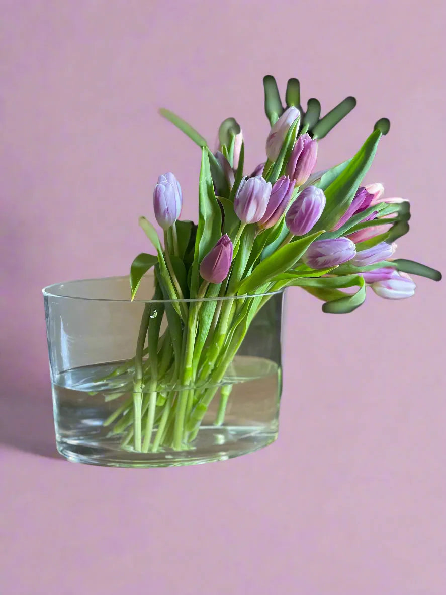 Beautiful tulips from The Netherlands arranged in a modern fashion in an oval clear glass vase.