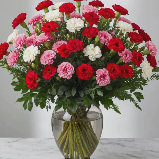 A video of a Valentine's Day Red, Pink, and White long-stemmed carnation bouquet.